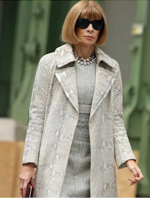 NOBODY KNOWS FASHION BETTER THAN ANNA WINTOUR – BUSINESS CLASS